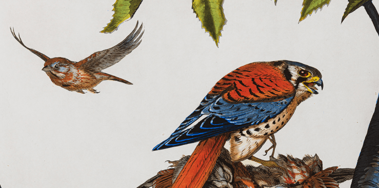 Screenshot 2020-03-30 at 6.58.41 PM